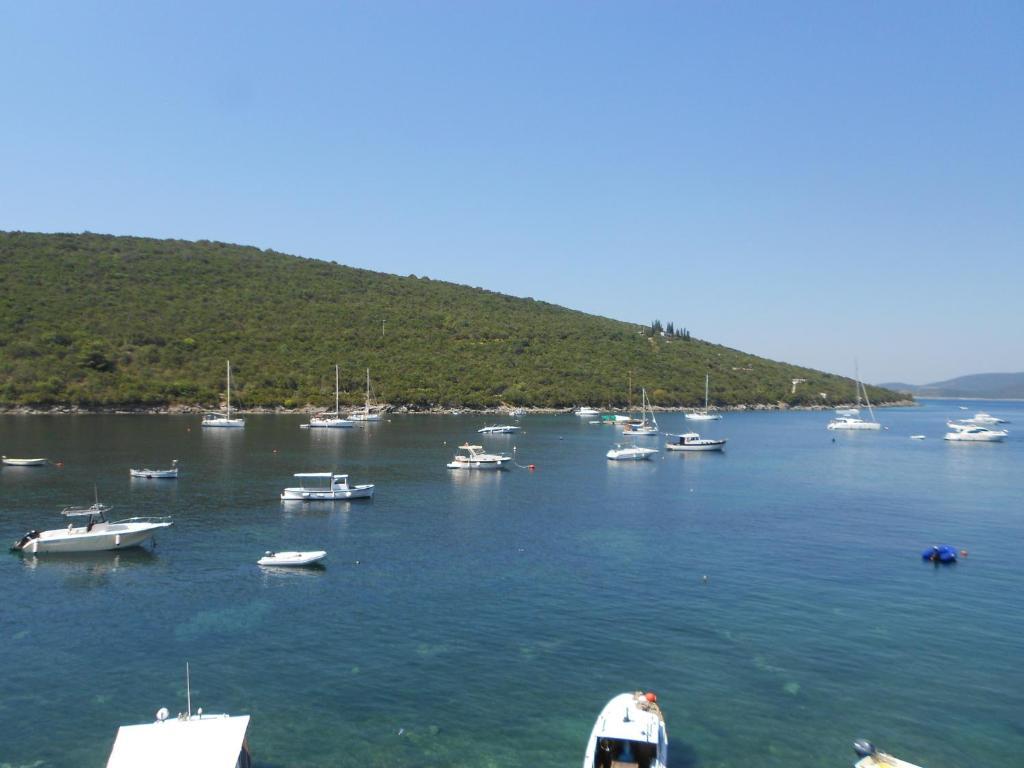 Apartments Vila Lazarevic Tivat Exterior photo